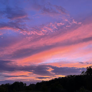 Meet your Posher, Genesis